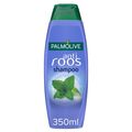 Shampoo Palmolive anti roos